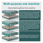 Fully Automatic Poultry Egg Incubator – 48 &amp; 70 Eggs Capacity