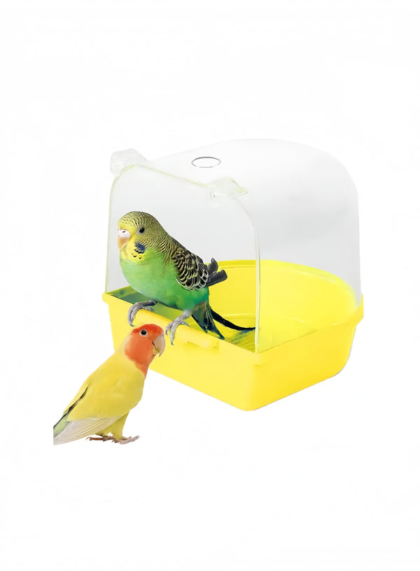 Birds Bath Tub