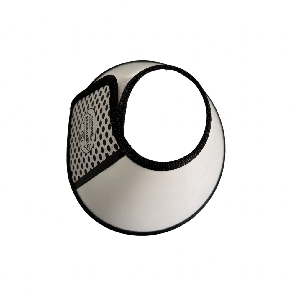Elizabethan collar (E-Collar)