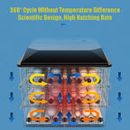 Imported 64/130/192 Eggs Incubator Fully Automatic AC/DC