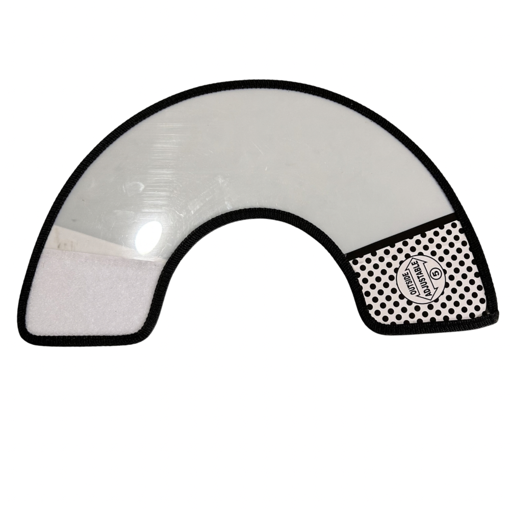 Elizabethan collar (E-Collar)