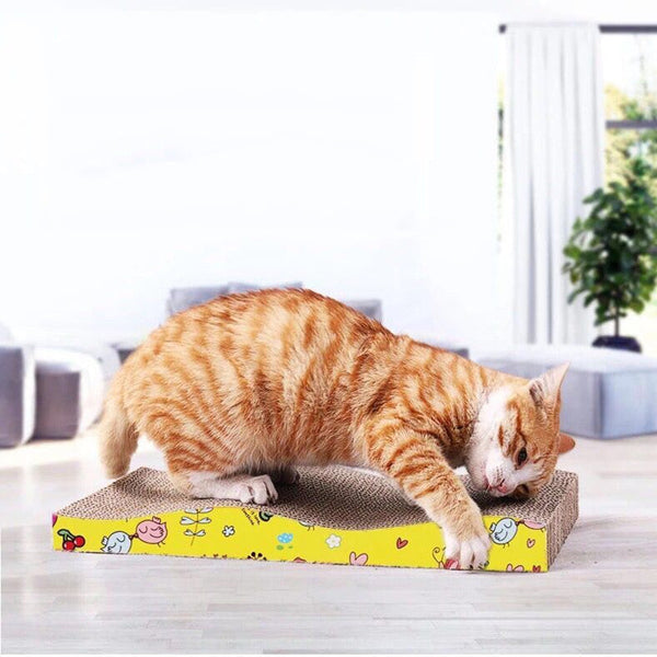 Important Board Scratch PAD