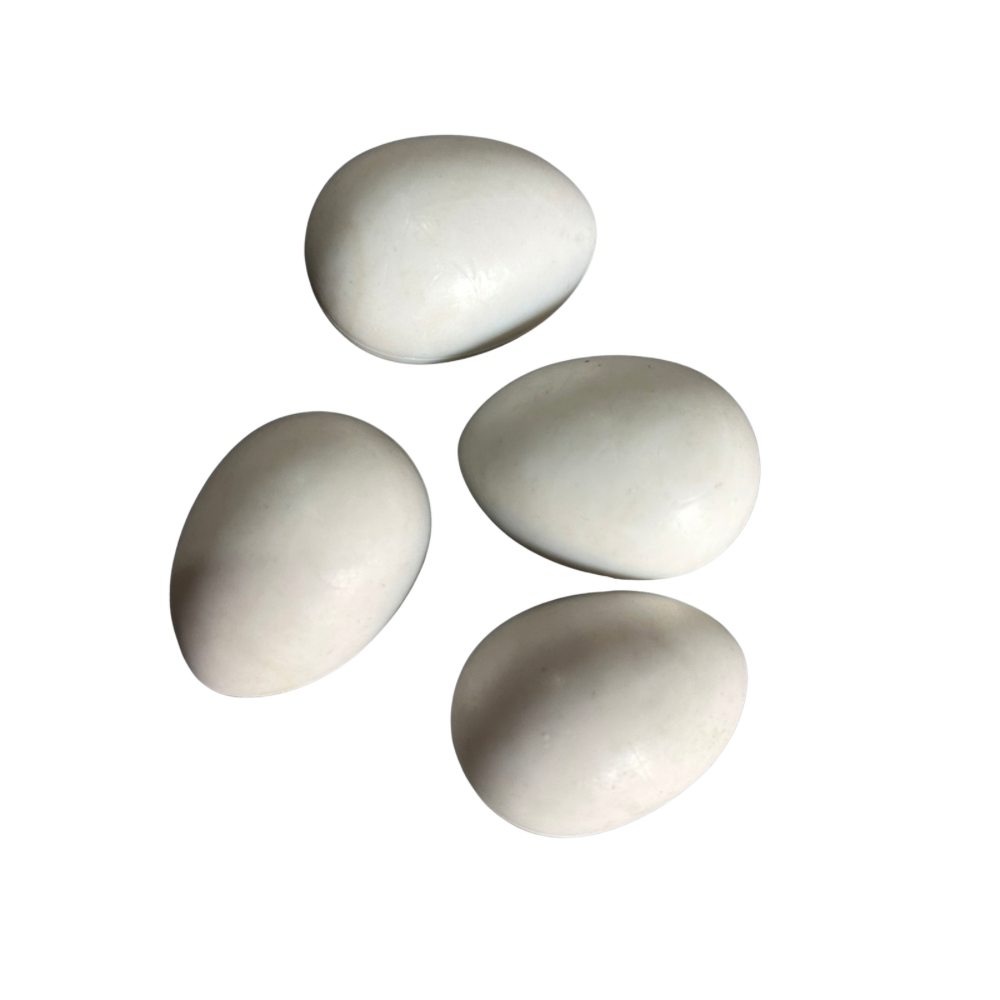 Birds Dummy Eggs