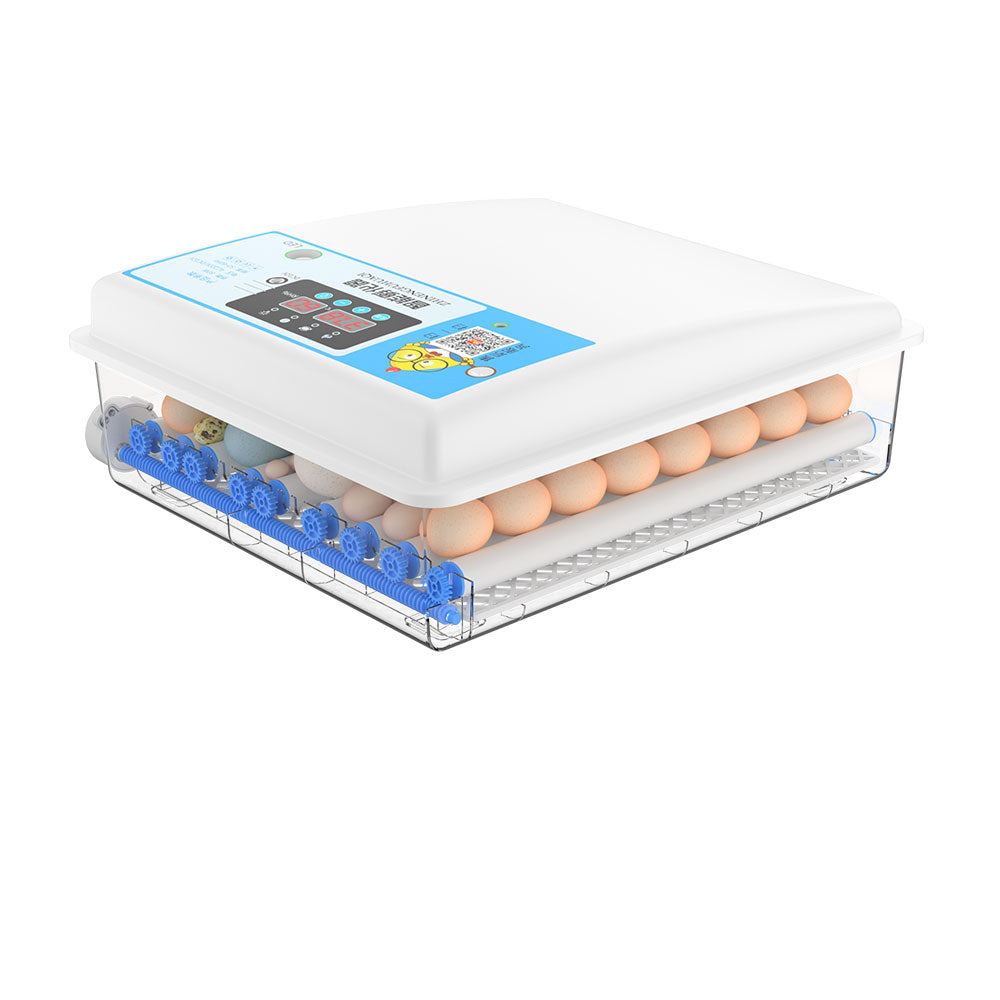 36 Eggs Fully Automatic Incubator AC/DC