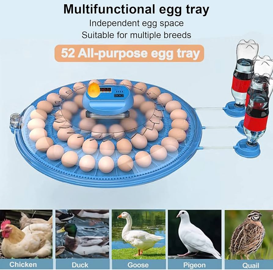 Fully Automatic 52 Poultry &amp; 252 Bird Eggs Incubator Hatcher