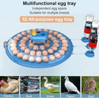 Fully Automatic 52 Poultry &amp; 252 Bird Eggs Incubator Hatcher