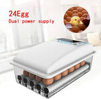 24 eggs Fully Automatic Incubator AC/DC