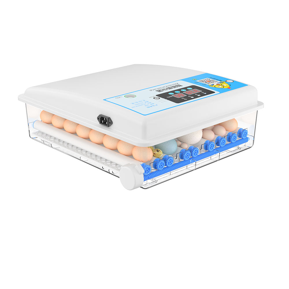 36 Eggs Fully Automatic Incubator AC/DC