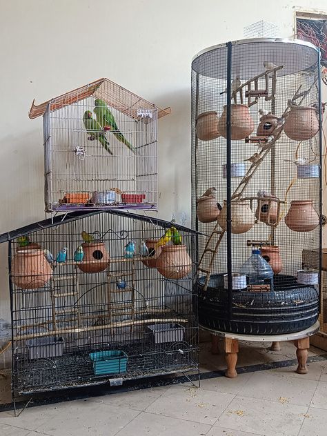Customised Iron Cages with Accessories &amp; Toys for Birds, Livestock &amp; Pets
