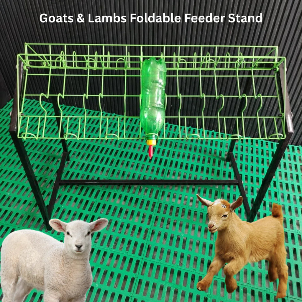 Foldable Feeder Holder Stand