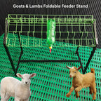 Foldable Feeder Holder Stand