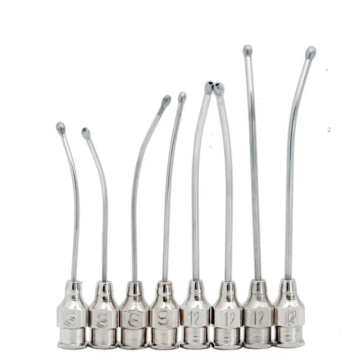 Feeding Needles for all birds