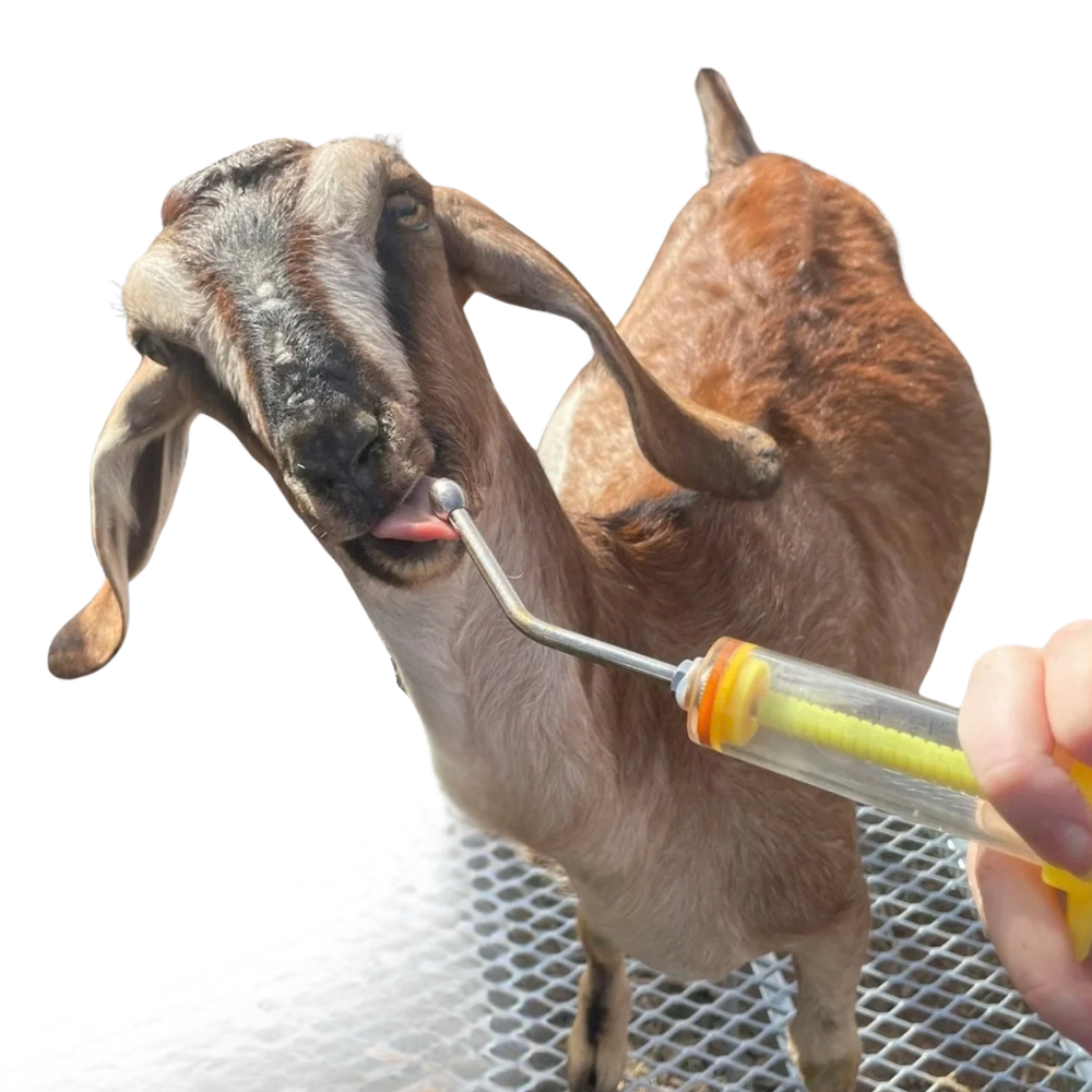 100ML Manual Drencher