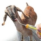Manual Drencher