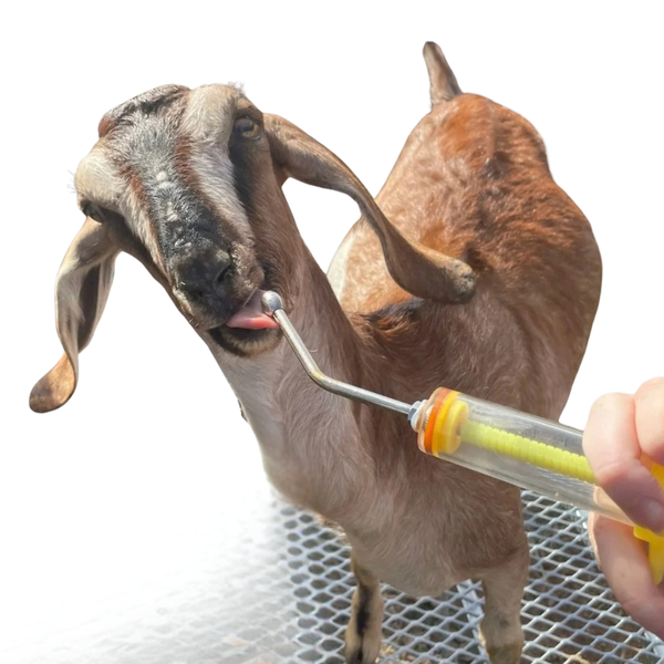 Manual Drencher