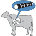 Limited Time Offer: Premium Veterinary Balling Gun &amp; Cow Magnets Bundle (Buy 1 Get 5 Free!)
