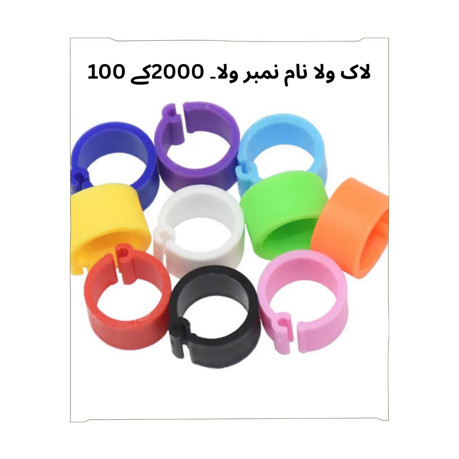 Birds Rings