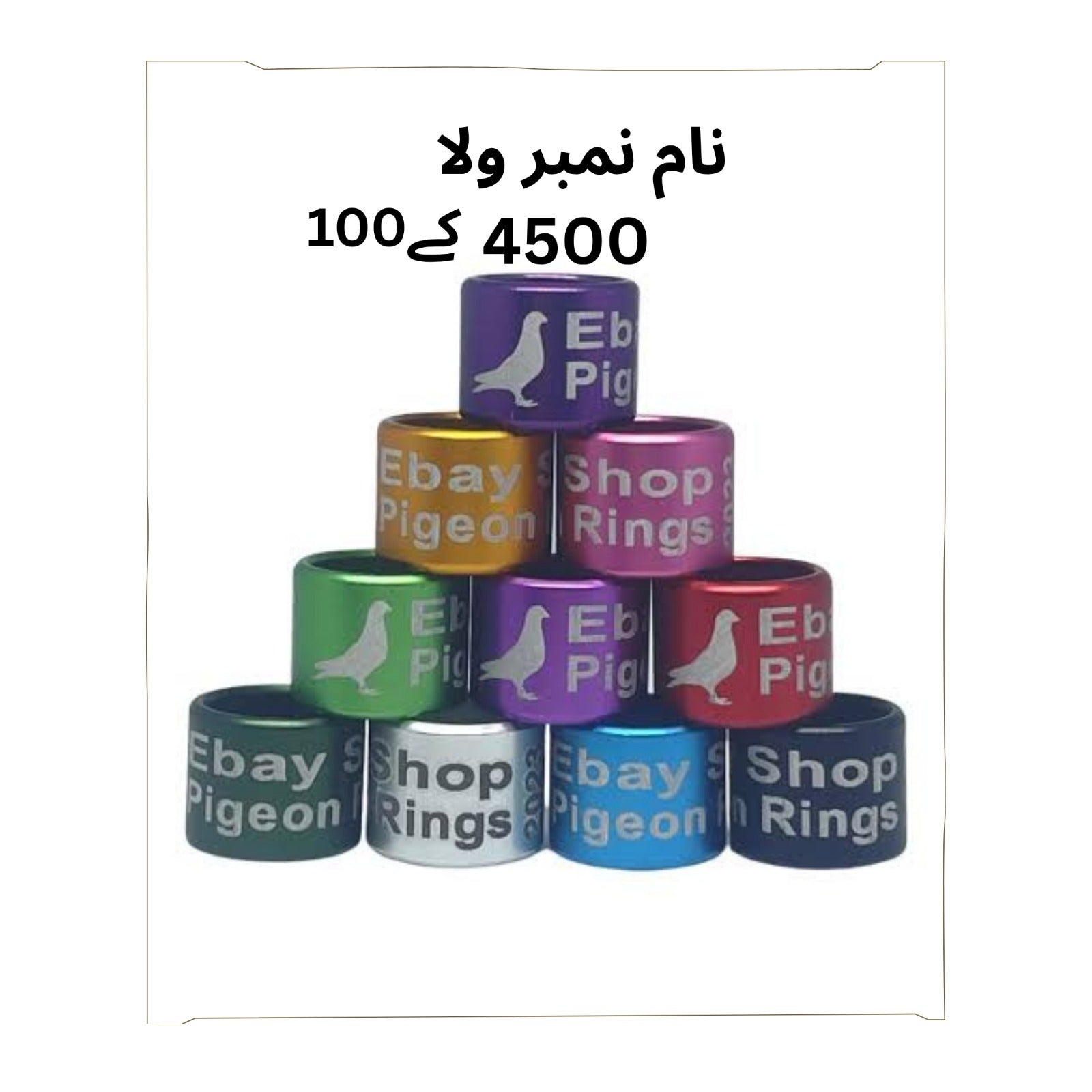 Birds Rings