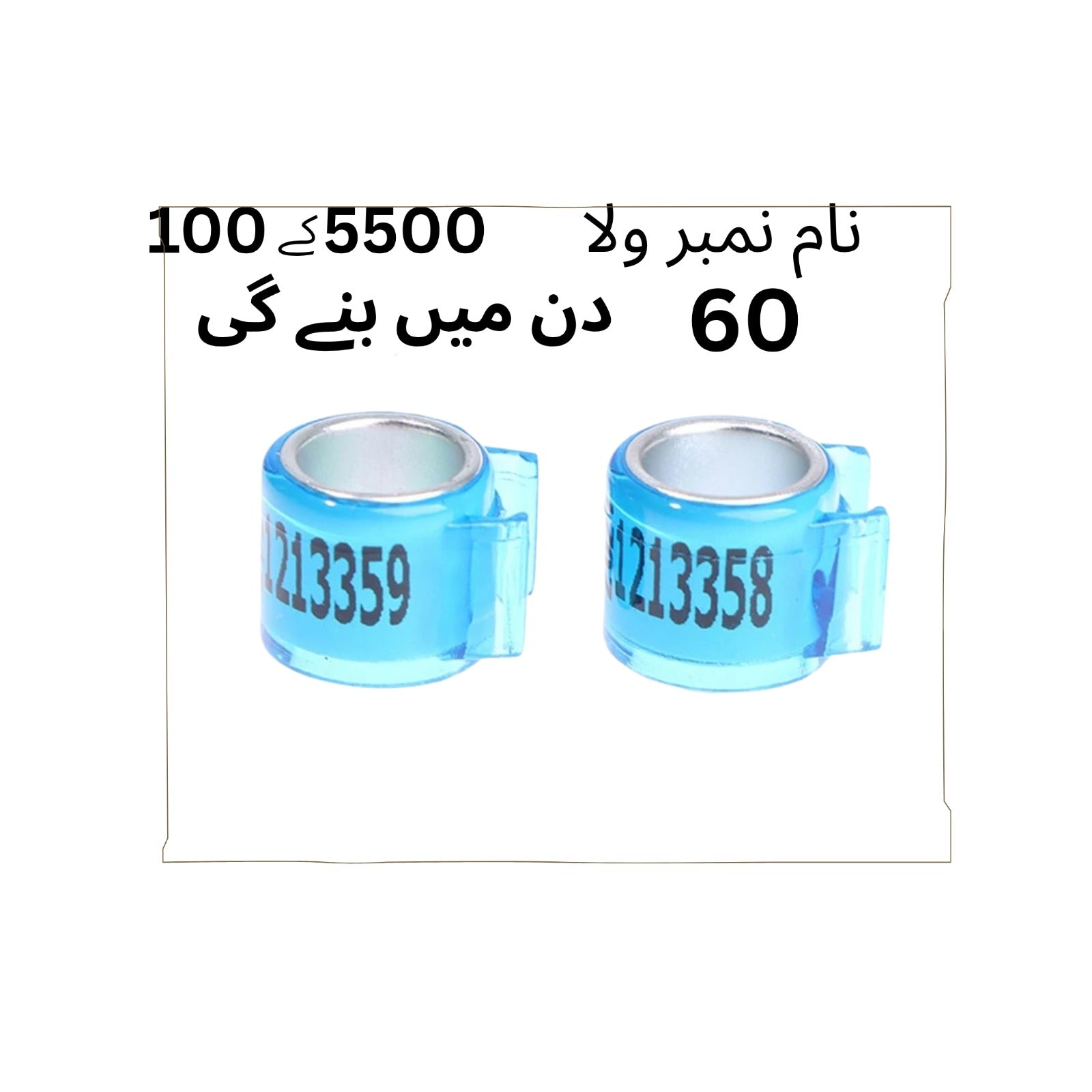 Birds Rings