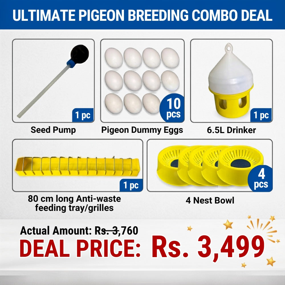 Ultimate Pigeon Breeding Combo Deal (5-in-1 Setup)