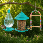 Birds Hanging Feeder & Drinker + Rainbow Toy