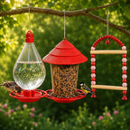 Birds Hanging Feeder & Drinker + Rainbow Toy