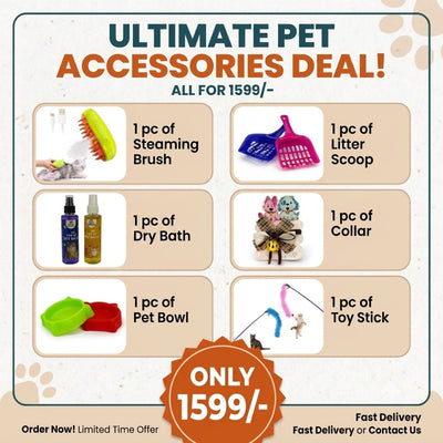 Ultimate Pet Accessories Deal (6-in-1 Cat Combo Set)