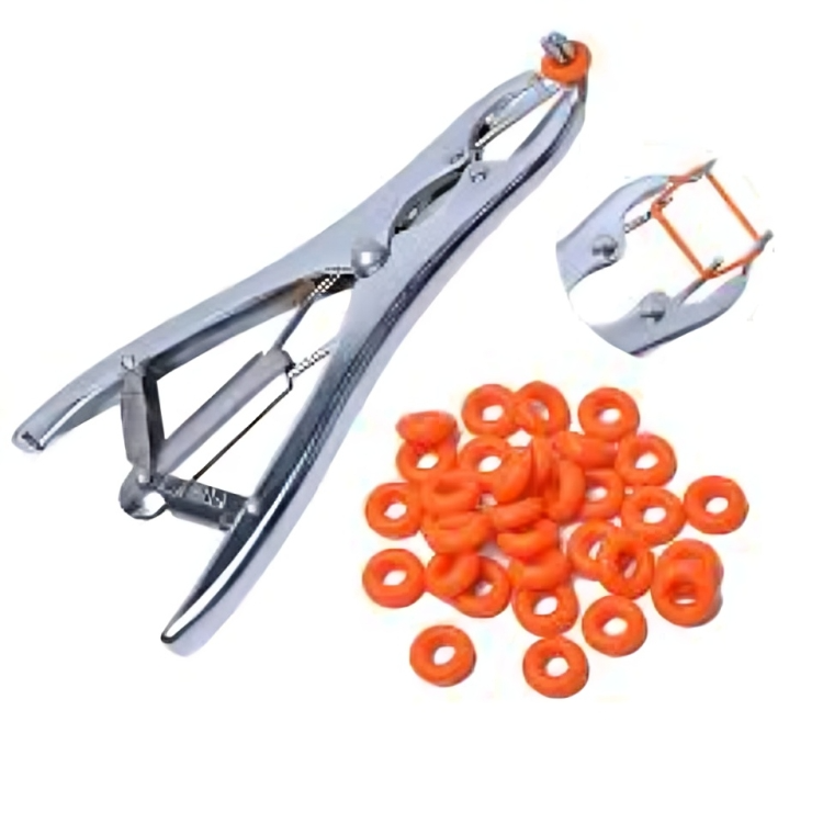 Castration Rubber Rings