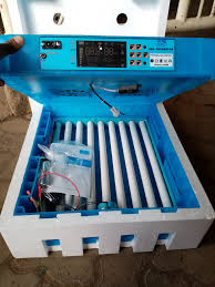 64 Poultry Eggs Incubator AC/DC (fully automatic)