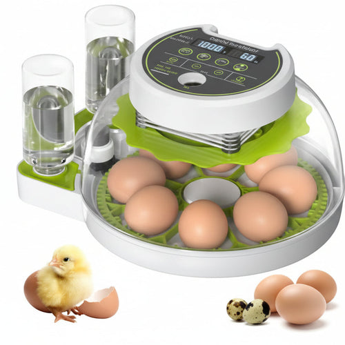 33 Parrot Eggs 8 Poultry Eggs Incubator AC/DC (fully Automatic)