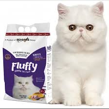 Fluffy Cat Food