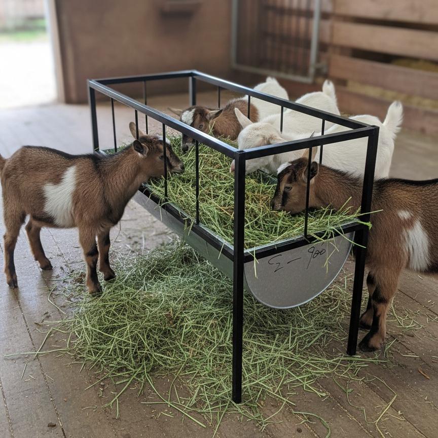 3 Feet Goat Feeder With Stand
