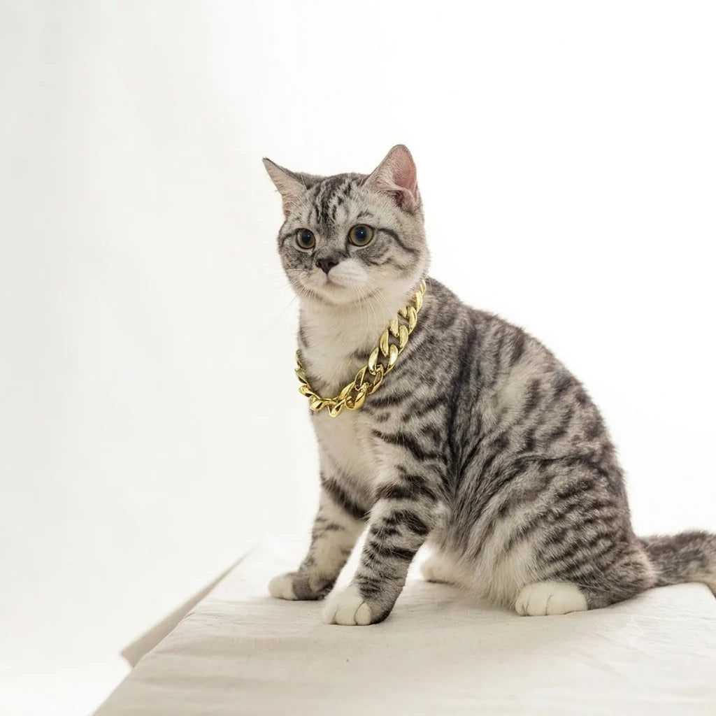 Ultimate 8-in-1 Cat Care Mega Deal