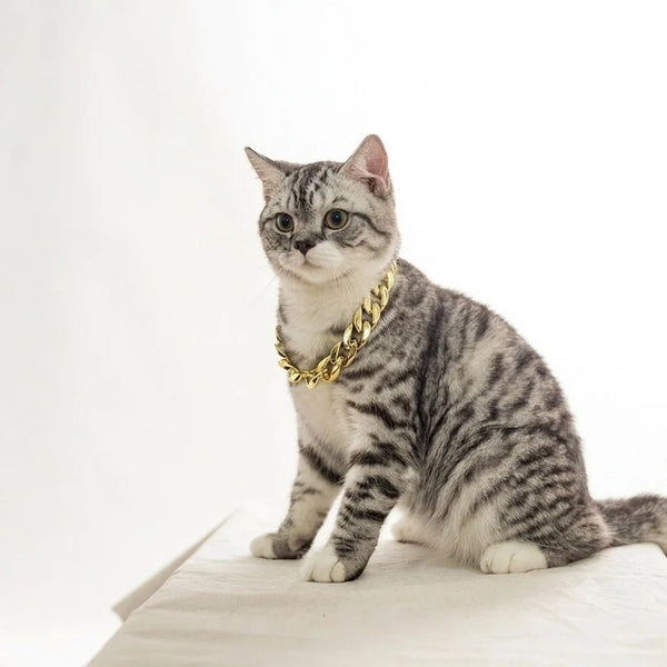 Ultimate 8-in-1 Cat Care Mega Deal