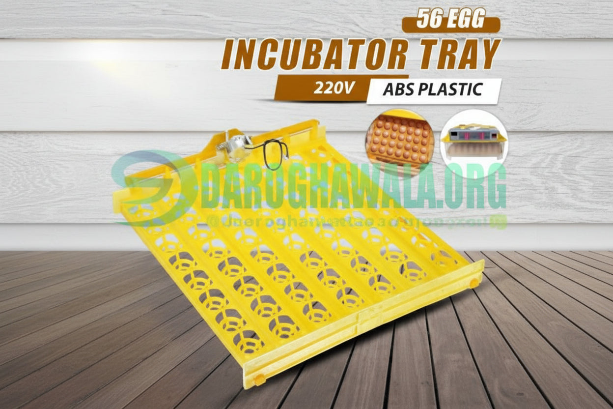 56 Poultry Eggs Incubator AC/DC (fully automatic)
