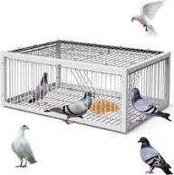 customize Iron Cage