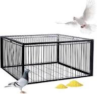 customize Iron Cage