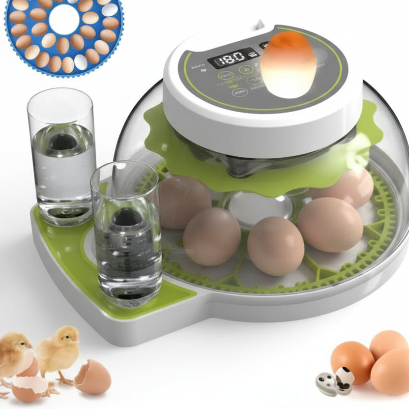 33 Parrot Eggs 8 Poultry Eggs Incubator AC/DC (fully Automatic)