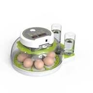 33 Parrot Eggs 8 Poultry Eggs Incubator AC/DC (fully Automatic)