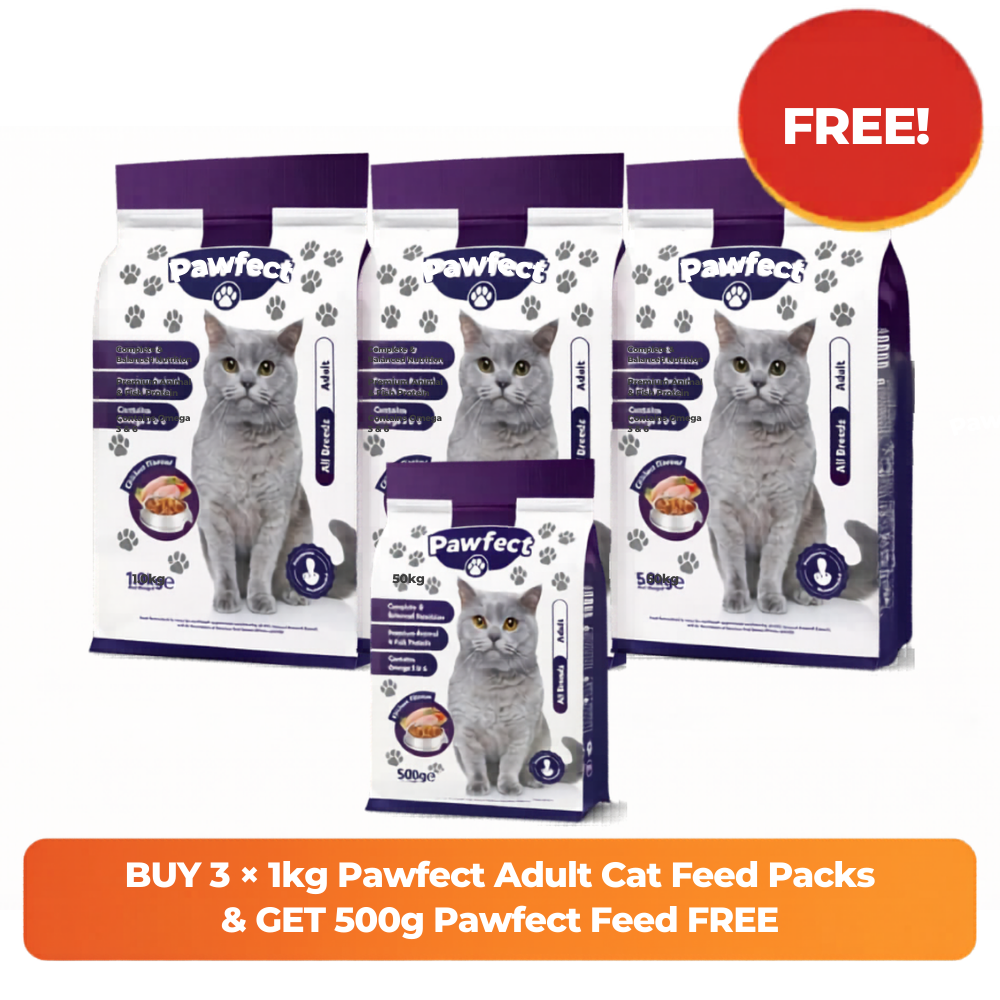 Pawfect Cat food