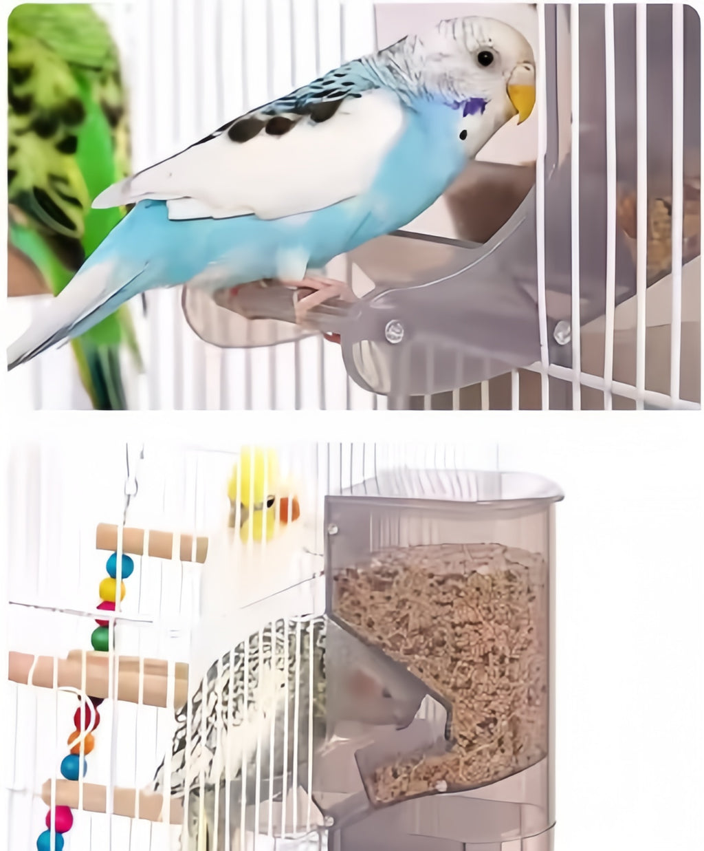 Gravity Feeder