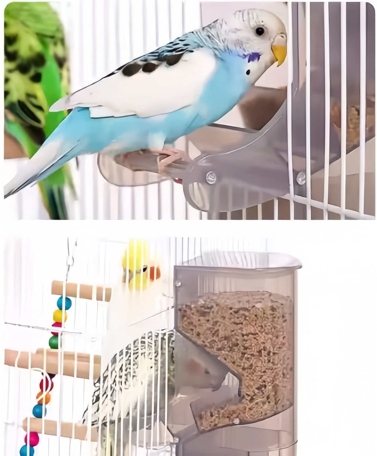 Gravity Feeder