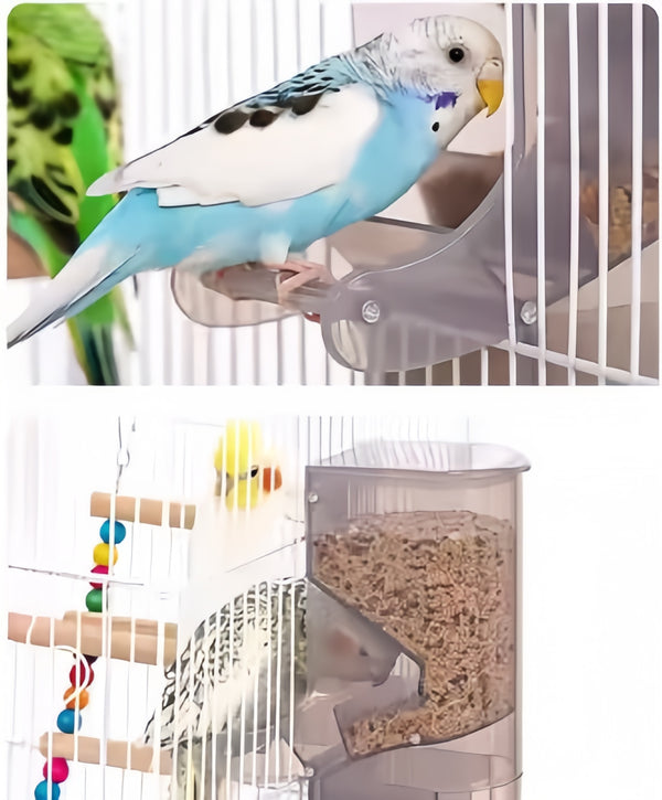 Gravity Feeder