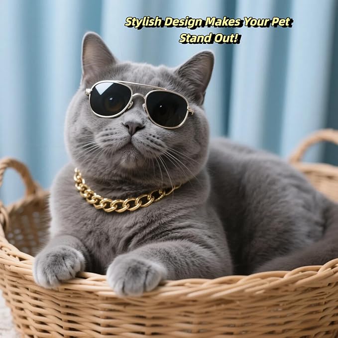 Premium Gold Chain Pet Collar