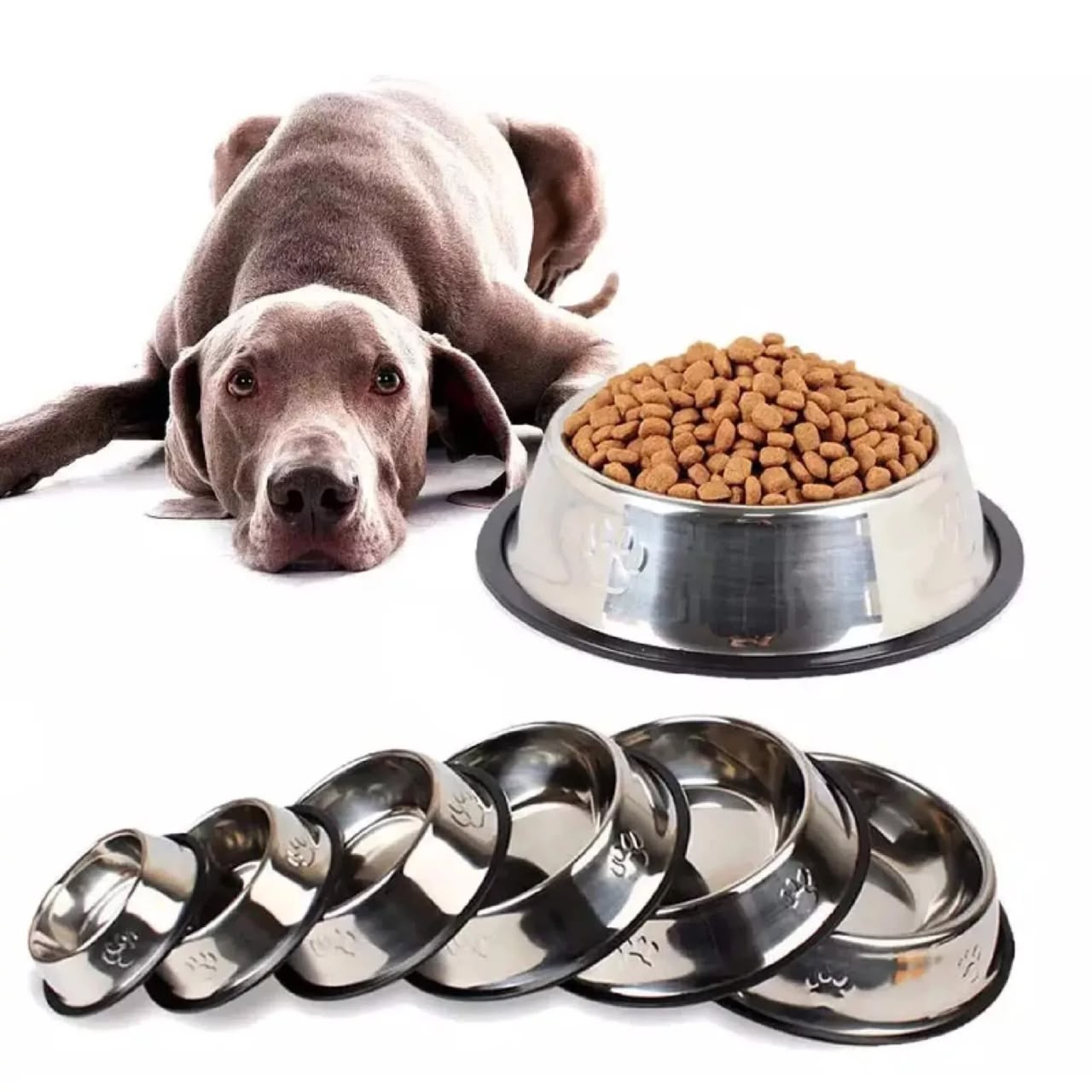 Non-Slip Stainless Steel Pet Bowl