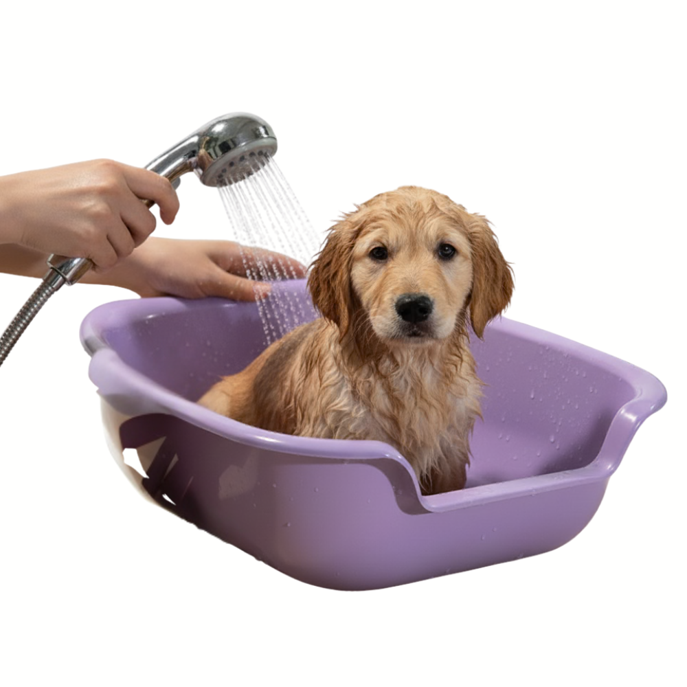 Paw Comfert Litter tray xxl